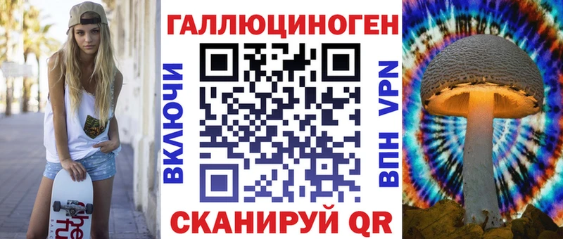 Псилоцибиновые грибы GOLDEN TEACHER  Купить закладки  Камышин 